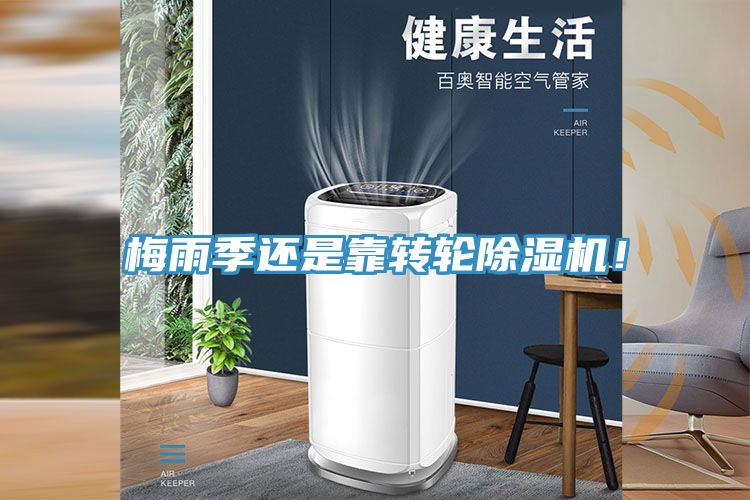 梅雨季還是靠轉(zhuǎn)輪除濕機(jī)！