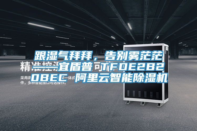跟濕氣拜拜，告別霧茫茫——宜盾普 TFDE2B20BEC 阿里云智能除濕機(jī)