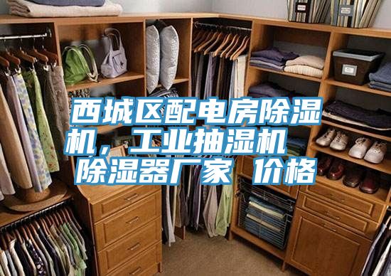 西城區(qū)配電房除濕機(jī)，工業(yè)抽濕機(jī)  除濕器廠家 價(jià)格