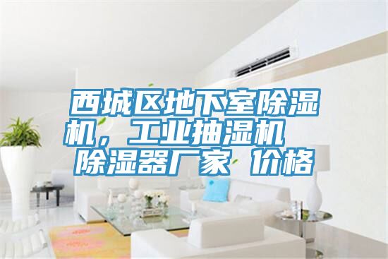西城區(qū)地下室除濕機(jī)，工業(yè)抽濕機(jī)  除濕器廠家 價(jià)格