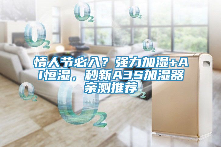 情人節(jié)必入？強力加濕+AI恒濕，秒新A3S加濕器親測推薦