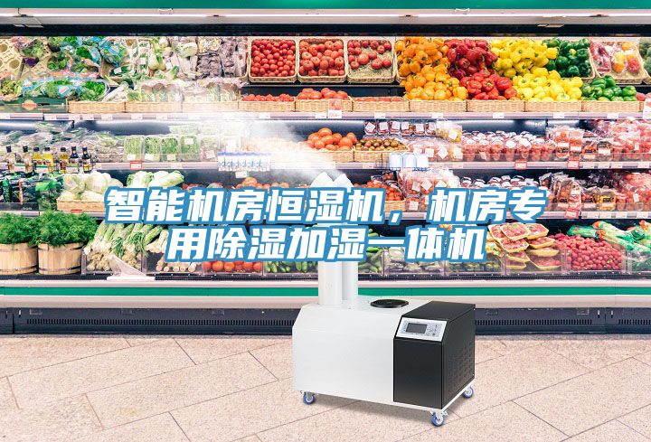 智能機房恒濕機，機房專用除濕加濕一體機