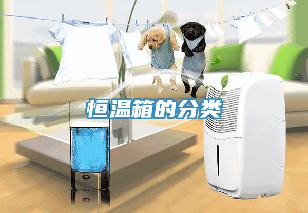 恒溫箱的分類(lèi)
