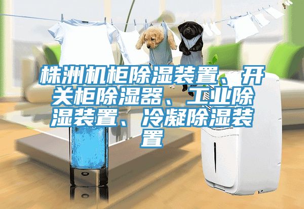 株洲機(jī)柜除濕裝置、開關(guān)柜除濕器、工業(yè)除濕裝置、冷凝除濕裝置