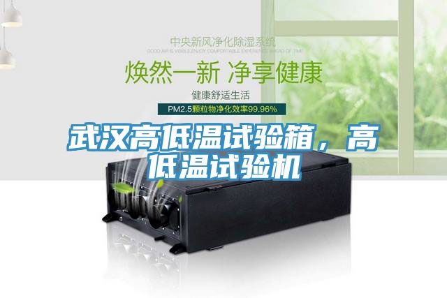 武漢高低溫試驗箱，高低溫試驗機