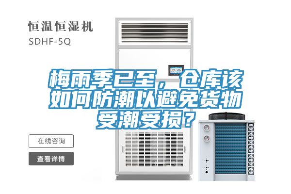 梅雨季已至，倉(cāng)庫(kù)該如何防潮以避免貨物受潮受損？