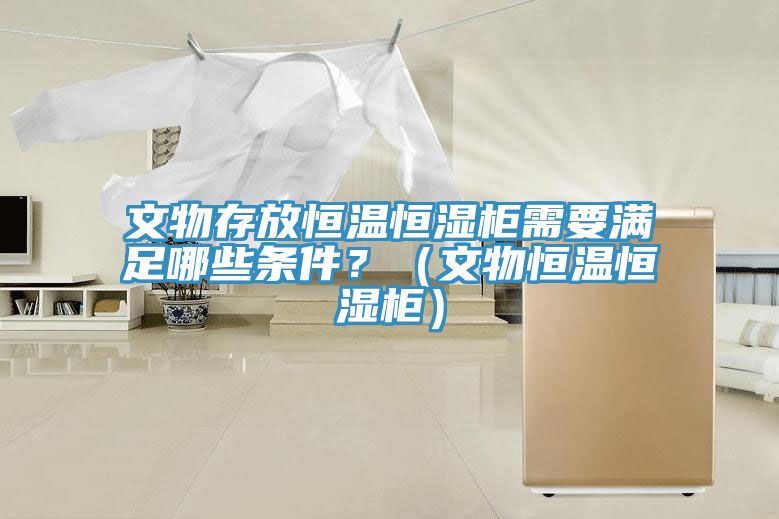 文物存放恒溫恒濕柜需要滿足哪些條件？（文物恒溫恒濕柜）