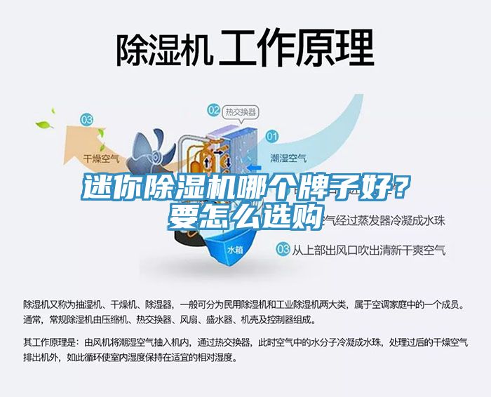 迷你除濕機哪個牌子好？要怎么選購