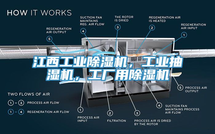 江西工業(yè)除濕機，工業(yè)抽濕機，工廠用除濕機