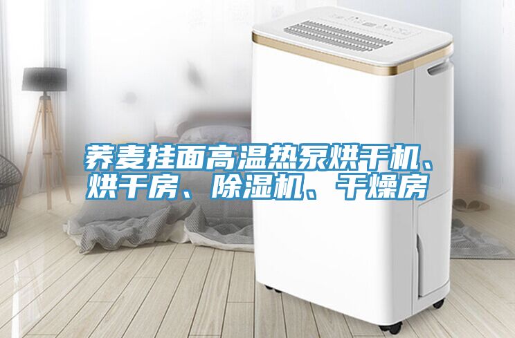 蕎麥掛面高溫熱泵烘干機、烘干房、除濕機、干燥房
