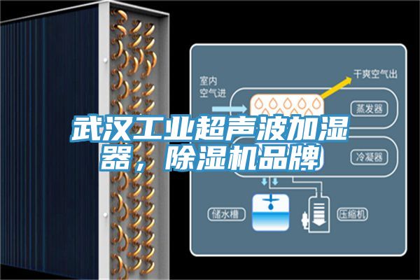 武漢工業(yè)超聲波加濕器，除濕機(jī)品牌