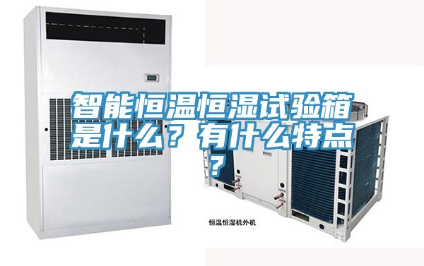 智能恒溫恒濕試驗箱是什么？有什么特點？