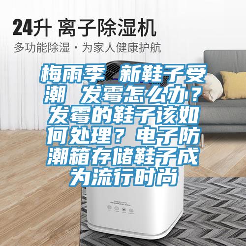 梅雨季 新鞋子受潮 發(fā)霉怎么辦？發(fā)霉的鞋子該如何處理？電子防潮箱存儲鞋子成為流行時尚