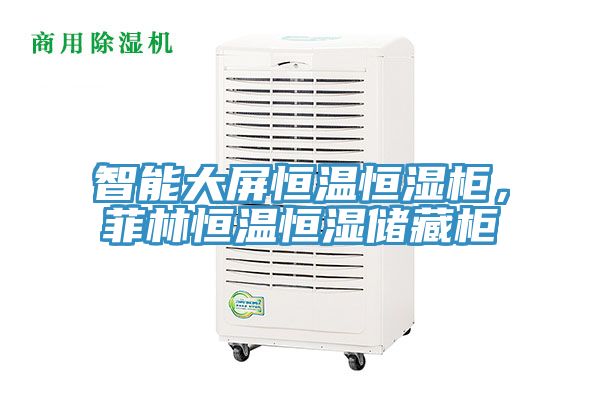 智能大屏恒溫恒濕柜，菲林恒溫恒濕儲藏柜