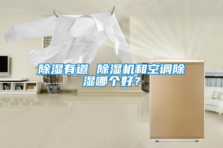 除濕有道 除濕機和空調(diào)除濕哪個好？