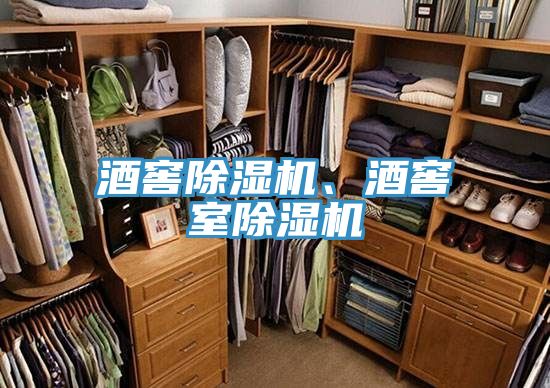 酒窖除濕機(jī)、酒窖室除濕機(jī)