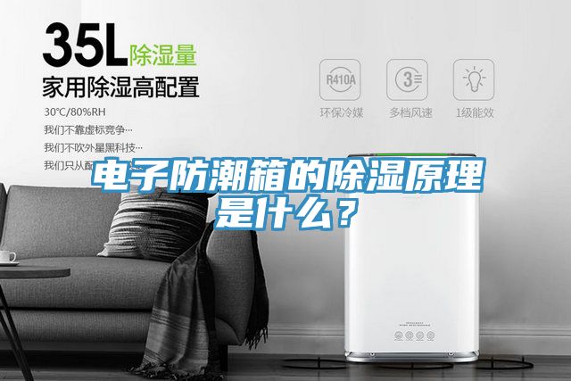 電子防潮箱的除濕原理是什么？