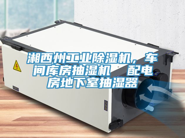 湘西州工業(yè)除濕機(jī)，車間庫房抽濕機(jī)  配電房地下室抽濕器