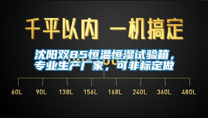 沈陽(yáng)雙85恒溫恒濕試驗(yàn)箱，專業(yè)生產(chǎn)廠家，可非標(biāo)定做