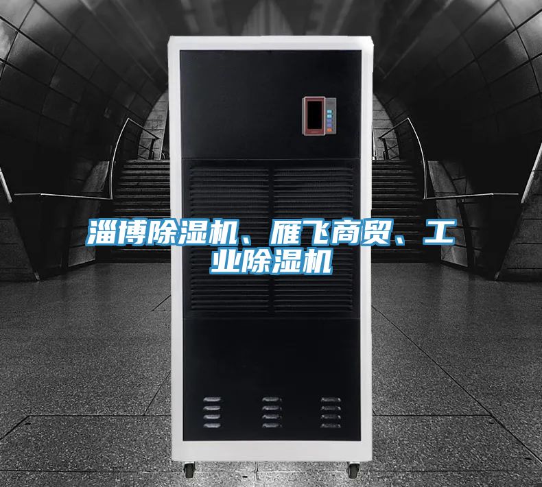 淄博除濕機、雁飛商貿(mào)、工業(yè)除濕機