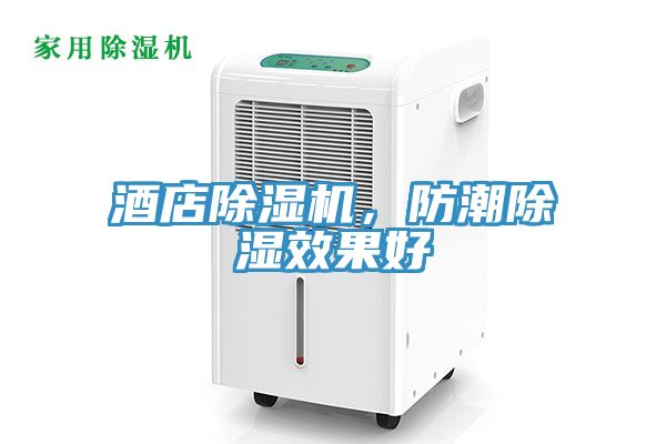 酒店除濕機，防潮除濕效果好