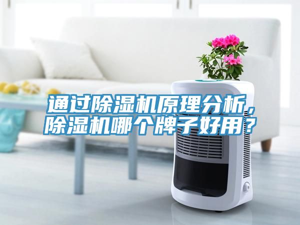 通過除濕機原理分析，除濕機哪個牌子好用？