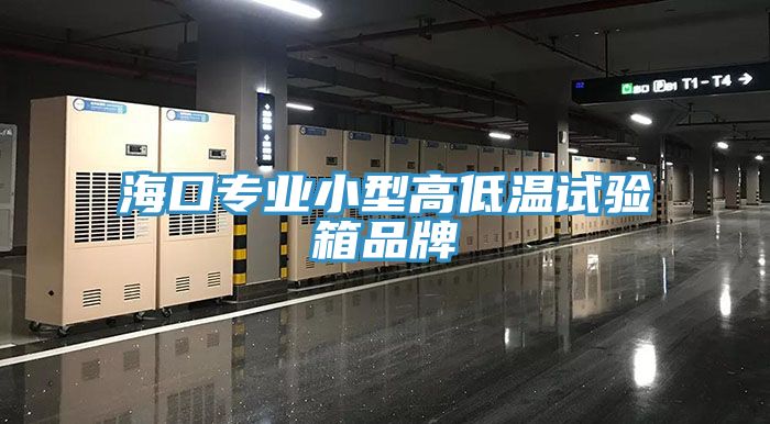 ?？趯?zhuān)業(yè)小型高低溫試驗(yàn)箱品牌