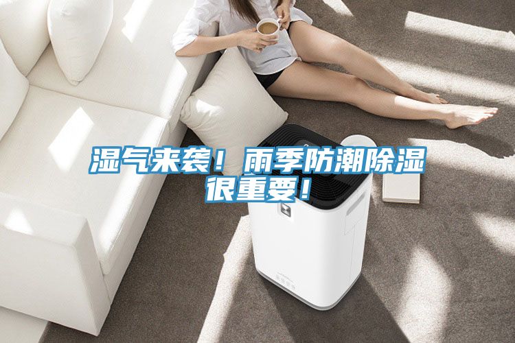 濕氣來襲！雨季防潮除濕很重要！