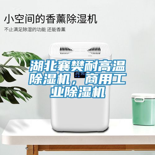 湖北襄樊耐高溫除濕機，商用工業(yè)除濕機