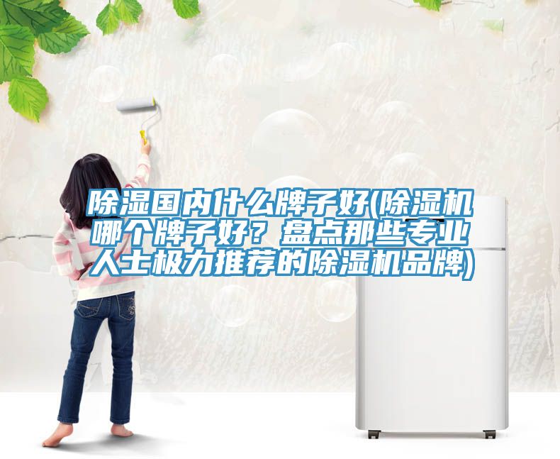 除濕國內(nèi)什么牌子好(除濕機哪個牌子好？盤點那些專業(yè)人士極力推薦的除濕機品牌)
