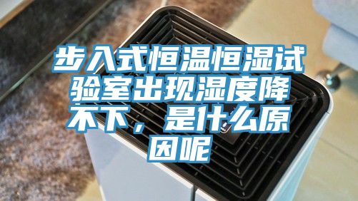 步入式恒溫恒濕試驗室出現(xiàn)濕度降不下，是什么原因呢