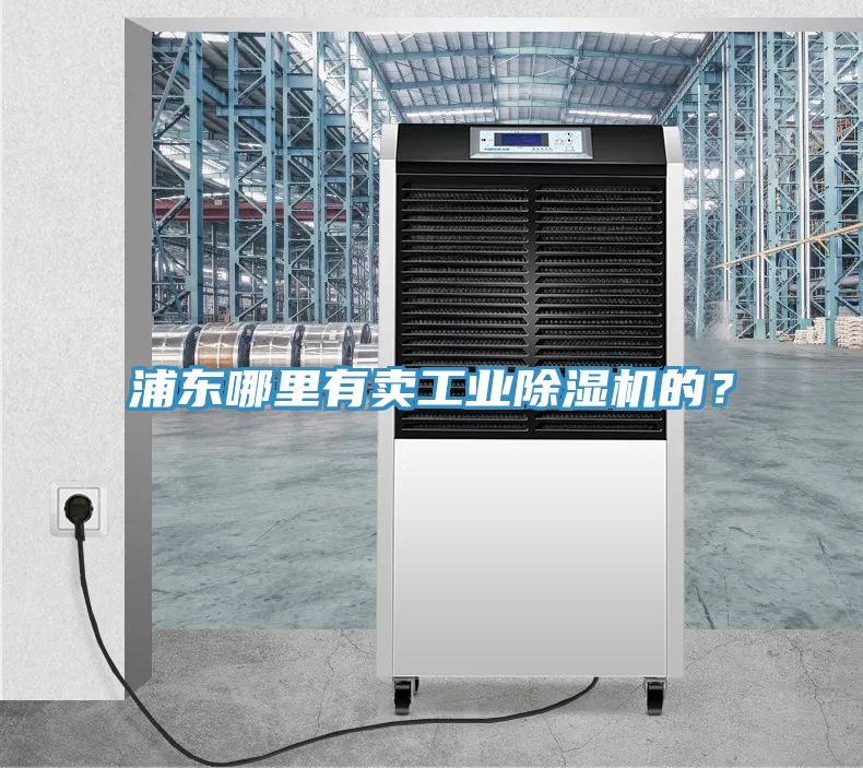 浦東哪里有賣(mài)工業(yè)除濕機(jī)的？