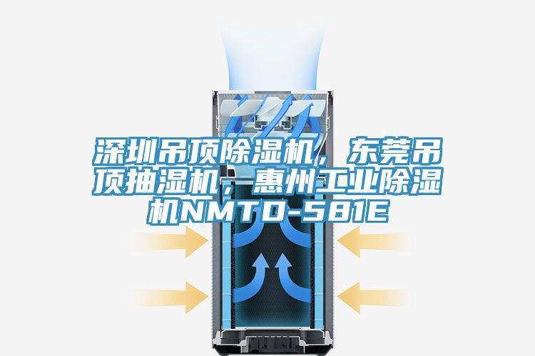 深圳吊頂除濕機(jī)，東莞吊頂抽濕機(jī)，惠州工業(yè)除濕機(jī)NMTD-581E