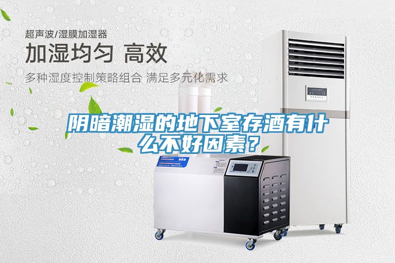 陰暗潮濕的地下室存酒有什么不好因素？