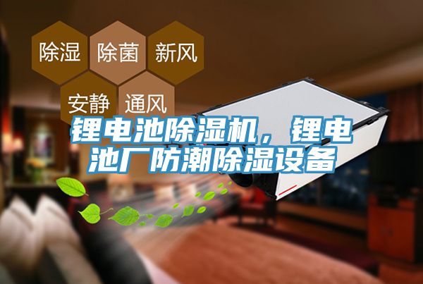 鋰電池除濕機(jī)，鋰電池廠防潮除濕設(shè)備