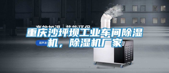 重慶沙坪壩工業(yè)車間除濕機(jī)，除濕機(jī)廠家