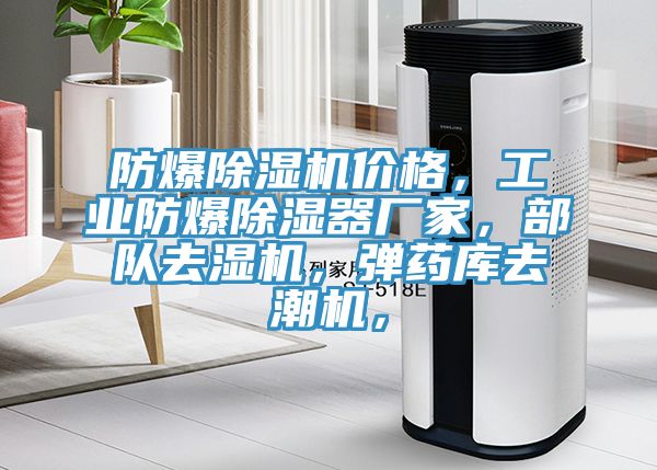 防爆除濕機(jī)價(jià)格，工業(yè)防爆除濕器廠家，部隊(duì)去濕機(jī)，彈藥庫去潮機(jī)，