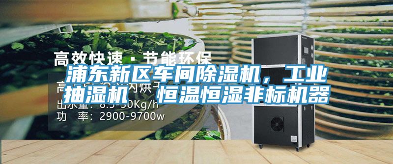 浦東新區(qū)車間除濕機(jī)，工業(yè)抽濕機(jī)  恒溫恒濕非標(biāo)機(jī)器