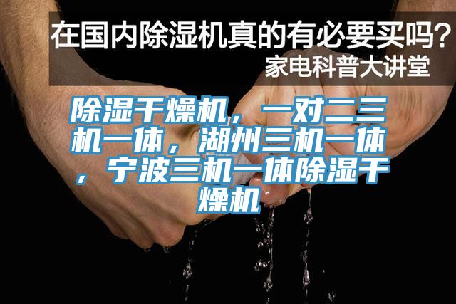 除濕干燥機(jī)，一對(duì)二三機(jī)一體，湖州三機(jī)一體，寧波三機(jī)一體除濕干燥機(jī)