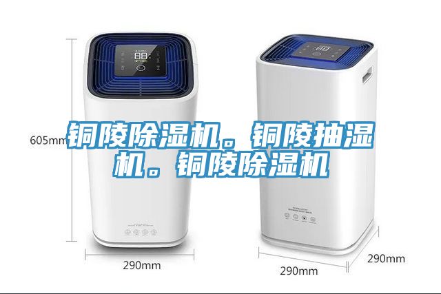 銅陵除濕機。銅陵抽濕機。銅陵除濕機