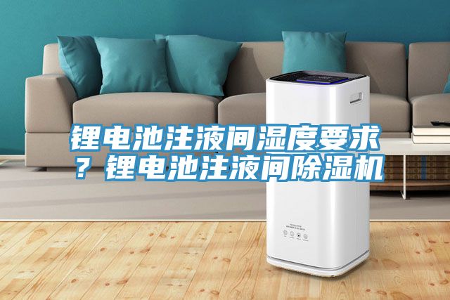 鋰電池注液間濕度要求？鋰電池注液間除濕機