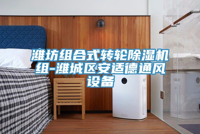濰坊組合式轉(zhuǎn)輪除濕機組-濰城區(qū)安適德通風設(shè)備