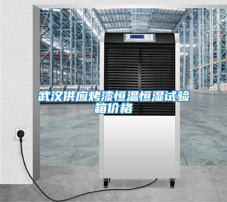武漢供應(yīng)烤漆恒溫恒濕試驗(yàn)箱價格