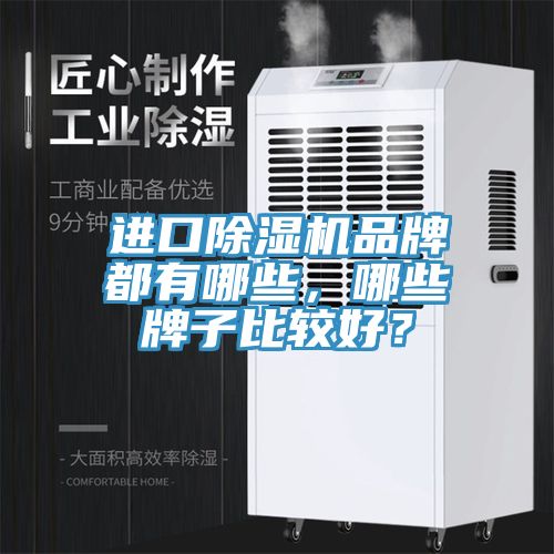 進口除濕機品牌都有哪些，哪些牌子比較好？