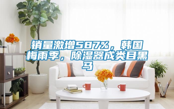 銷量激增587%，韓國(guó)梅雨季，除濕器成類目黑馬