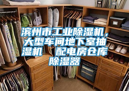 濱州市工業(yè)除濕機，大型車間地下室抽濕機  配電房倉庫除濕器