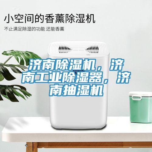濟南除濕機，濟南工業(yè)除濕器，濟南抽濕機