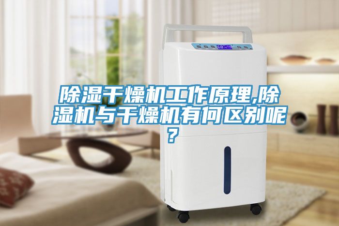 除濕干燥機工作原理,除濕機與干燥機有何區(qū)別呢？