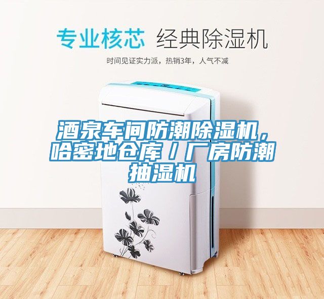 酒泉車間防潮除濕機(jī)，哈密地倉庫／廠房防潮抽濕機(jī)