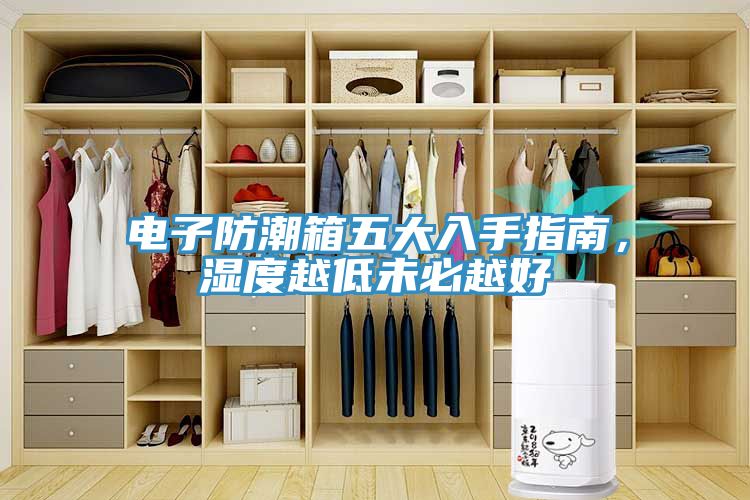電子防潮箱五大入手指南，濕度越低未必越好